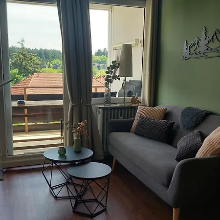 Bergschwalbe - Hahnenklee Zentrum - Mit Toller Aussicht Appartement
