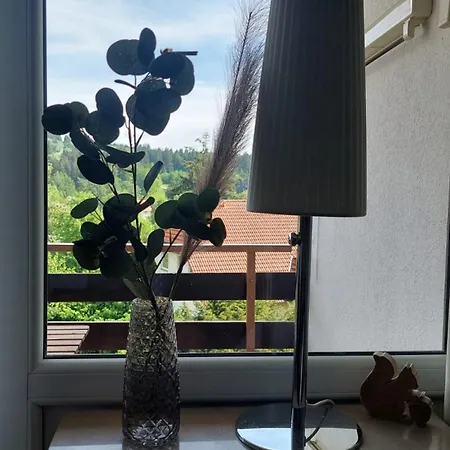 Bergschwalbe - Hahnenklee Zentrum - Mit Toller Aussicht Appartement Goslar