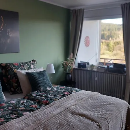 Appartement Bergschwalbe - Hahnenklee Zentrum - Mit Toller Aussicht *