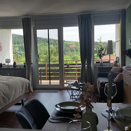 Bergschwalbe - Hahnenklee Zentrum - Mit Toller Aussicht * Goslar